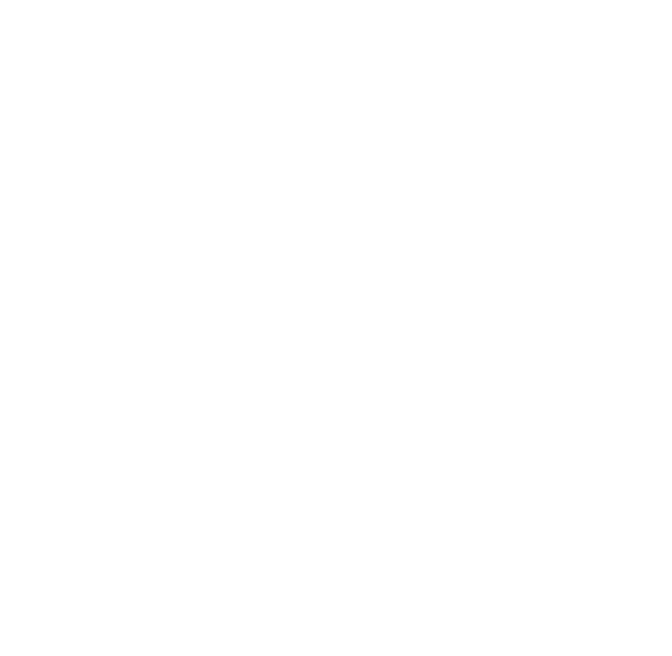 Logo Lion Capital Group